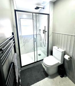 a bathroom with a shower and a white toilet at Luxury Apartment in Rostrevor in Rostrevor +12 photos