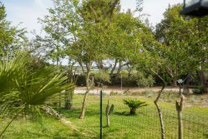 Imagen de la galería de Casa Vacanza Russo Fernando, en Serra Alimini 76 fotos más