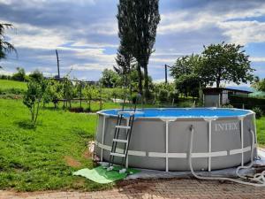 a large hot tub with a ladder next to it at Apartma Grlica in Selnica ob Muri