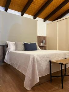 a bedroom with a large bed with white sheets and blue pillows at San Antonio 6 in Malpartida de Cáceres