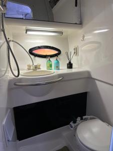 a bathroom with a sink and a toilet at Yachthouse in Plateliai