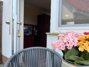 Fotografie z fotogalerie ubytování Gasthaus & Pension "Zur Schaabe" v destinaci Glowe