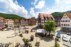 an aerial view of a town with buildings at Apartments am Marktplatz in Bad Urach