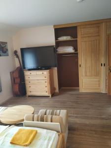 TV a/nebo společenská místnost v ubytování Smaidas apartamenti