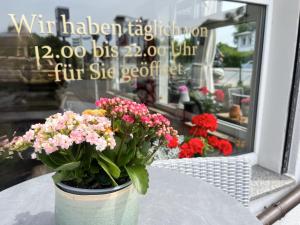Zahrada ubytování Gasthaus & Pension "Zur Schaabe"