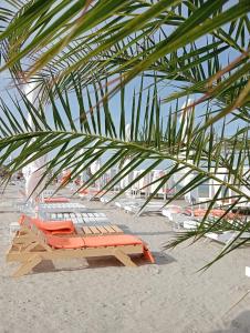 een groep ligstoelen op een strand met een palmboom bij Apartament Giulia by Sea View Luxury Residence in Mamaia Nord – Năvodari