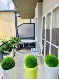 Zahrada ubytování M Boutique Suite