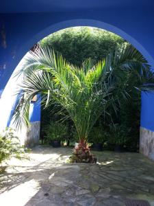 a palm tree sitting under an arch way at Apartamentos y Habitaciones Casa Bego in Valdredo