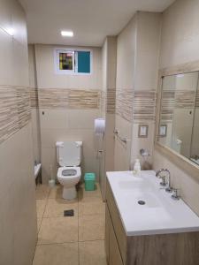 a bathroom with a toilet and a sink at la florida C in Salta +10 photos