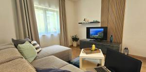 TV a/nebo společenská místnost v ubytování Apartment Samlandin