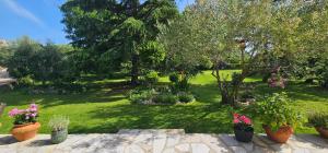 Zahrada ubytování Apartment Samlandin