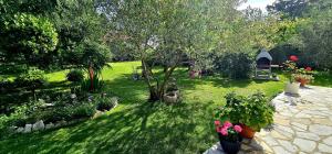 Zahrada ubytování Apartment Samlandin
