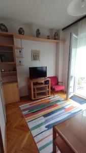 a living room with a television and a rug at NANA apartment in Ohrid