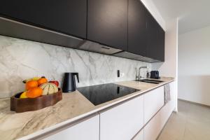 Kuchyň nebo kuchyňský kout v ubytování Halternative Residence Renaissance
