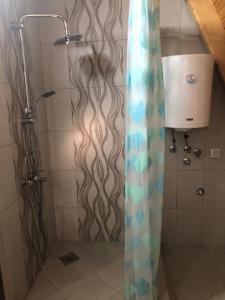 a shower with a shower curtain in a bathroom at Banjska brvnara in Vrnjačka Banja +29 photos