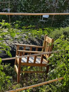 a wooden chair sitting in the middle of a garden at Dimora Storica Villa Pasquale Capri in Capri