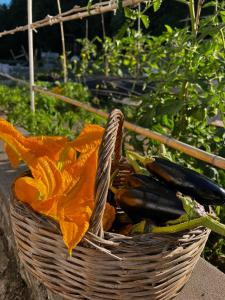a basket full of vegetables in a garden at Dimora Storica Villa Pasquale Capri in Capri