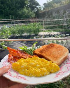 a plate of breakfast food with scrambled eggs and toast at Dimora Storica Villa Pasquale Capri in Capri