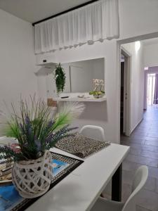 Kuchyňa alebo kuchynka v ubytovaní Aurelia Apartments, Vir