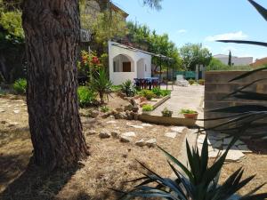 a yard with a tree and a table and a building at Studio de la pinède in Nissan-lez-Enserune