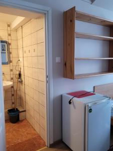 Kuchyň nebo kuchyňský kout v ubytování Villa Pod Dębem