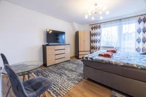 a bedroom with a bed and a tv and a chair at Apartament u Sabiny i Stanleya in Bukowina Tatrzańska