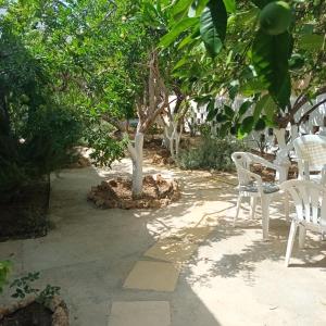 a patio with white chairs and a tree at Magnolia Senses in Kini