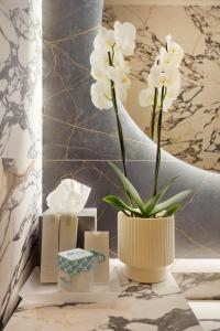 Gallery image of Hotel Villa Domizia in Porto Santo Stefano