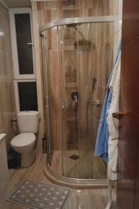 a shower in a bathroom with a toilet at Rooms Filip in Bitola +40 photos