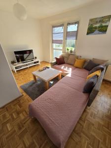 a living room with a large couch and a tv at Strandapartment in Breitungen in Breitungen