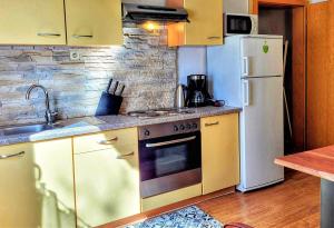 Kuchyň nebo kuchyňský kout v ubytování HIRSCH Apartment Fuchsbau - zentral - Garten + 2 fotografie