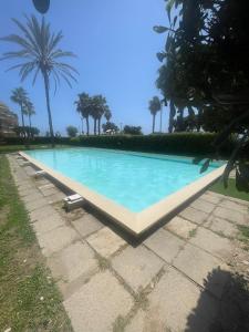 a large swimming pool with palm trees in the background at Relax al Mare in Vallecrosia