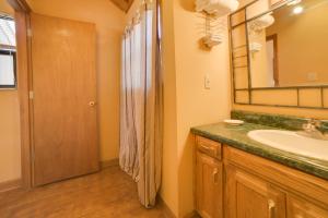 a bathroom with a sink and a mirror and a shower at Peaceful Reliance Cabin with Deck on Hiwassee River! in Austral +15 photos