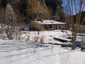 una casa nella neve davanti di Ferienhäuser Ratsmühle, Haus am Teich a Ilmenau