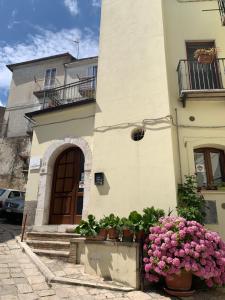 a building with potted plants and flowers in front of it at Al Civico 49 in Campobasso