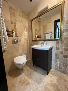 a bathroom with a toilet and a sink and a mirror at Apartment near IPJ IASI Copou in Iaşi