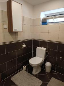a bathroom with a white toilet and a mirror at Ubytování pod Ostašem in Police nad Metují