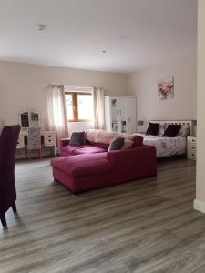 Posezení v ubytování A Beautiful countryside apartment on killarney Road