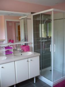 a bathroom with a glass shower and a sink at gite la bretonne in Plouha +13 photos