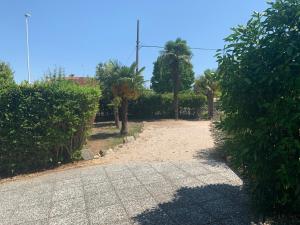 Giardino di Palma Verde