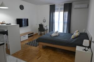 TV a/nebo společenská místnost v ubytování Riverside Nis