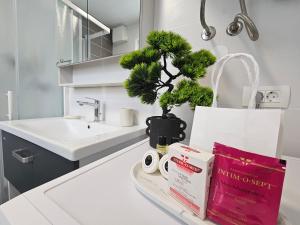 a table with a book and a plant and a sink at Zeleni Biser -Terme Čatež in Čatež ob Savi +39 photos