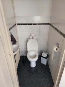 a small bathroom with a toilet and a sink at Strandhuis in Katwijk aan Zee in Katwijk aan Zee +14 photos