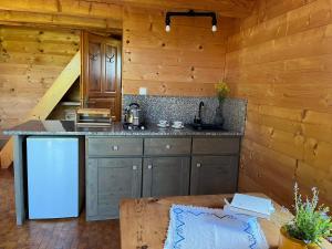 a kitchen with a counter in a wooden cabin at Pod dobrym adresem-domek na łące in Cisna