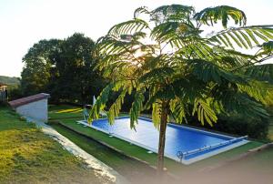 a palm tree next to a blue swimming pool at Studio cosy en pleine nature dans maison en pierre avec piscine et wifi in Saint-Romain-et-Saint-Clément