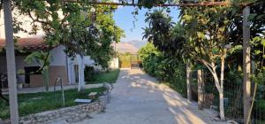 Γενική θέα στο βουνό ή θέα στο βουνό από  αυτό το διαμέρισμα