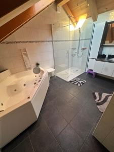 Koupelna v ubytování Ferienwohnung Klou + 16 fotografií