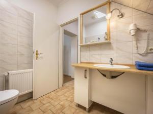 BuchholzFerienwohnung in der Mecklenburger Seenplatte的浴室里有洗手池、马桶和镜子。 更多20张照片