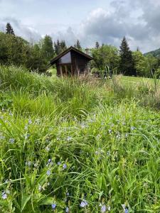 Gallery image of Pod dobrym adresem-domek na łące in Cisna