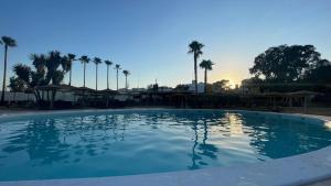 a large swimming pool with palm trees in the background at TAIGA Almeria Playa in Palomares